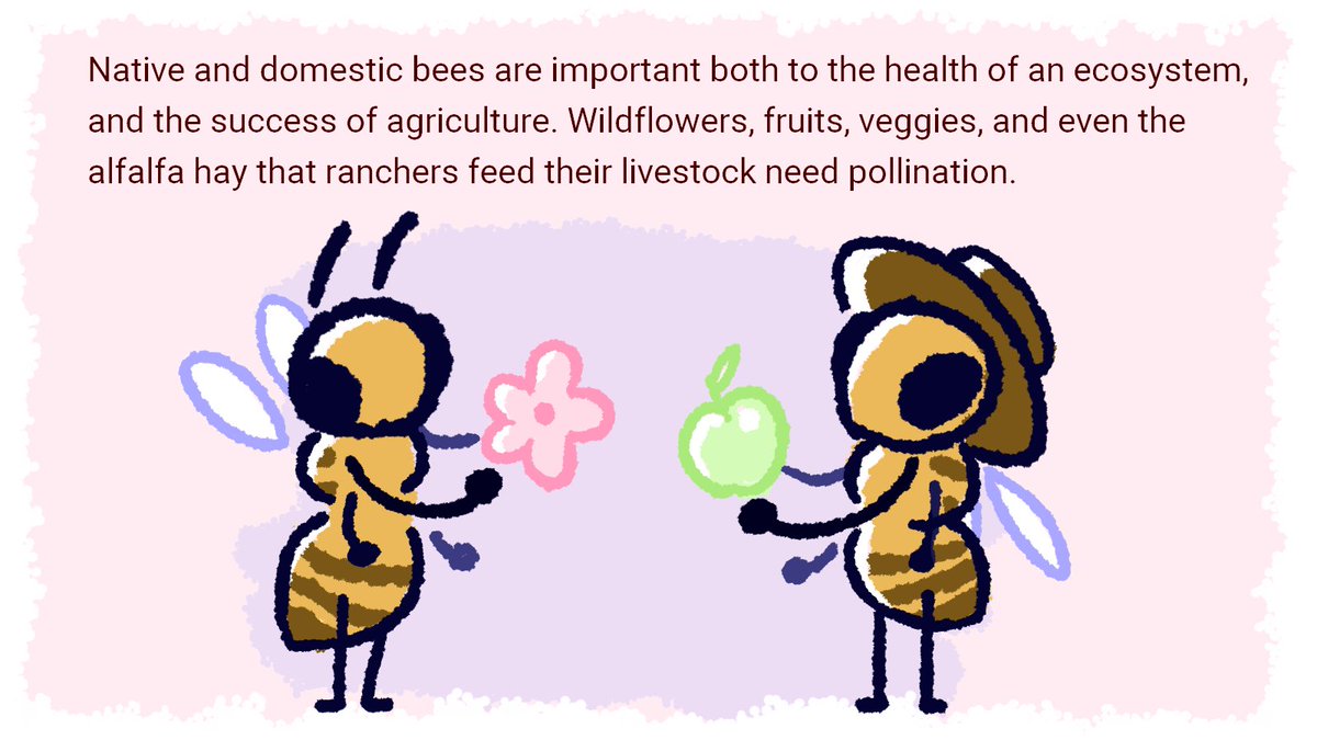 The following thread is the final part of my 2019-2020 economics project, and is meant to educate individuals on what they can do to help the declining bee populations.