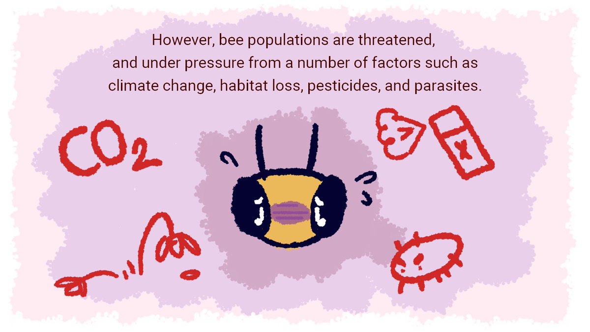 The following thread is the final part of my 2019-2020 economics project, and is meant to educate individuals on what they can do to help the declining bee populations.