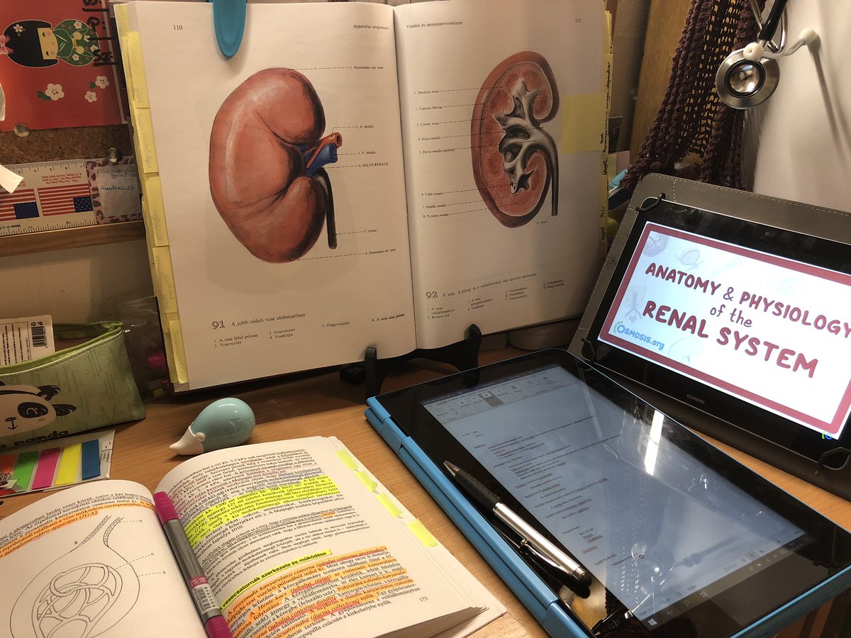 budai96's tweet photo. 勉強しましょうー　🩺👩🏻‍⚕️💉💻😁

Let's study anatomy! - 1/2

 #解剖学 #学生 #幸せ #勉強垢　#看護師 #看護学生 #大学生 #ハンガリー #日本語  #病院 
#nurse #nursingstudent #studygram #motivation #studymotivation #dream #stethoscope #anatomy https://t.co/KEnKhvBUtk