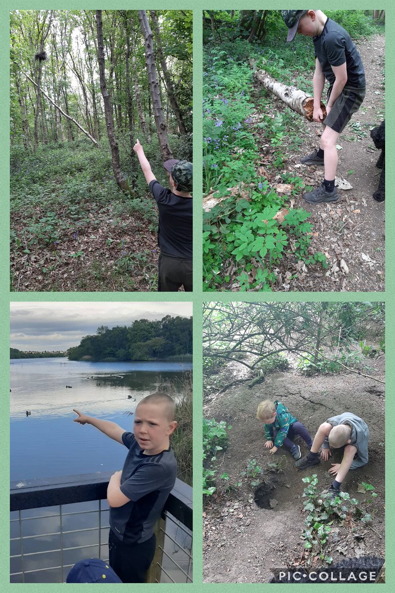 EmmaGilroy9's tweet photo. @EGPA_Y2 Henry has been exploring the local area finding lots animals and their habitat https://t.co/wNWQI6JC0f