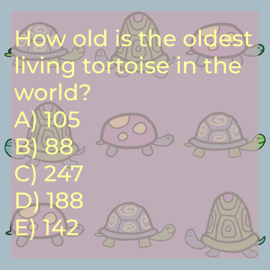 whimsygoat tweet media