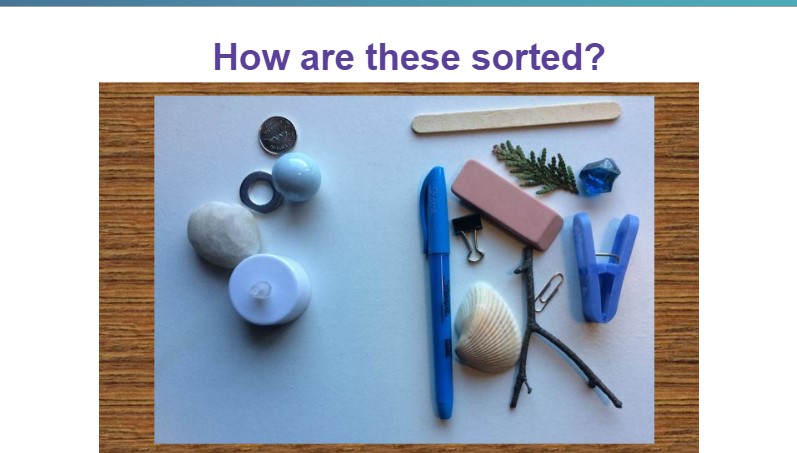 SASCanada's tweet photo. Observations and inquiry are important, they are skills that #students need to develop. Here's a task that you can do right now at home. #SiSImpact #saswia https://t.co/r0AUjncGg4