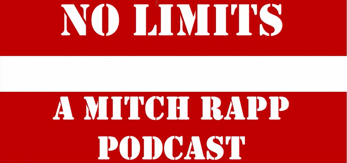 Binged the first 6 shows of the new @MitchRappPod yesterday. It's a fresh twist on book reviewing that feels like a good book club chat. They're reading through Rapp's saga and devoting 3 episodes per novel. Next up: #TransferofPower. You want in on this...