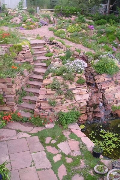 ColoradoNPS's tweet photo. #TestYourselfTuesday This eastern prairie CO Native is yellow to orange.  Register for a CoNPS Virtual Garden Tour or buy a season ticket at https://t.co/kZwOxkRCGK  Sundays 1-2pm. Urban Prairie, June 7
Panayoti Kelaidis Rock Gardens, June 14
Backyard Wetlands, Aug 2. More TBA https://t.co/8susE5b3bs