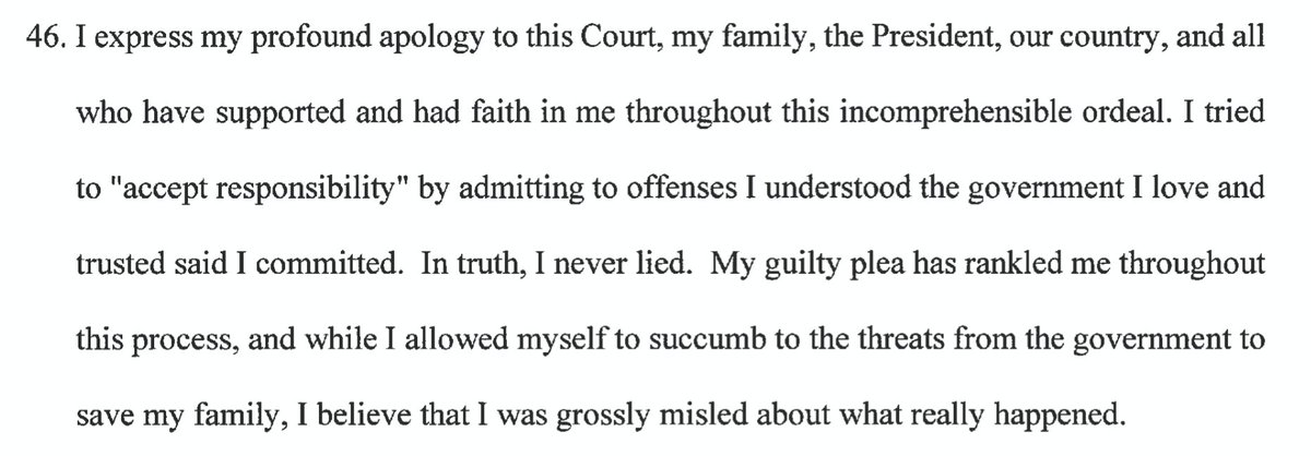 "I express my profound apology to this Court...in truth, I never lied...I allowed myself to succumb to the threats from the government to save my family"Is this perjury?
