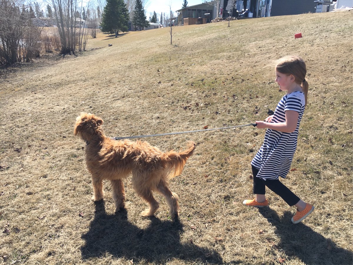 MrSmith_PE's tweet photo. Some more Sneak in a Break #activeWGH pictures of students Week 1! @FMPSD @WGHillElem @APPLESchools https://t.co/PXFCKHJtxE
