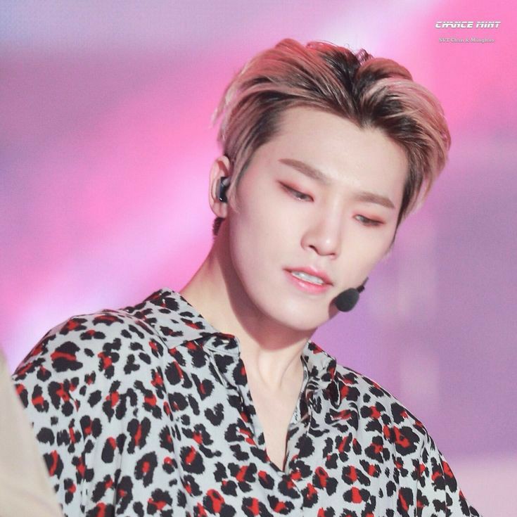 seventeen and their god tier visuals — a thread