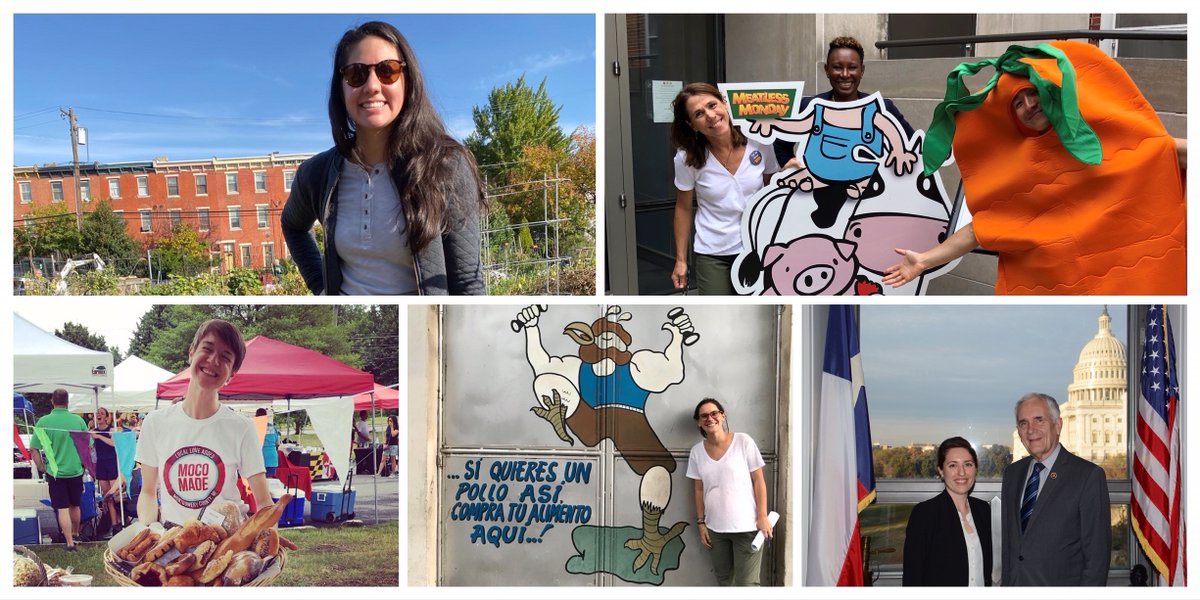 Congratulations to the <a href="/JohnsHopkinsSPH/">Johns Hopkins Bloomberg School of Public Health</a> #Classof2020! You are graduating into a world that urgently needs your skills, determination, compassion, and leadership. We are so proud of you and know you are ready to rise to this challenge. #JHU2020 <a href="/livablefuture/">Livable Future</a>