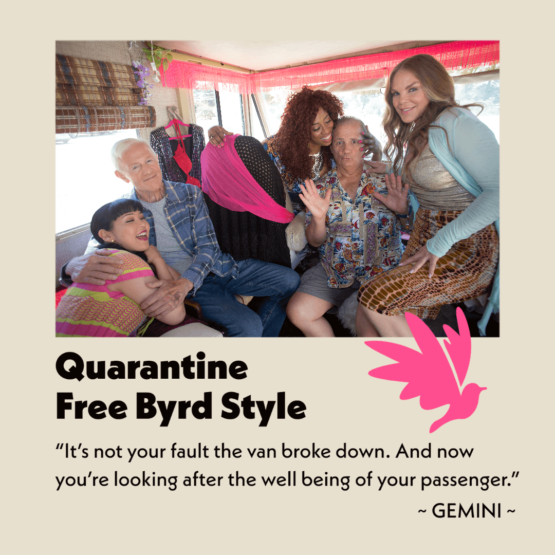 It seems Harry and Jay have found themselves with Pussy Gato and the Kittenettes during quarantine... um, they don't look very upset... no one does! The freedom of #stayathome when your home is on wheels...  #freebyrd