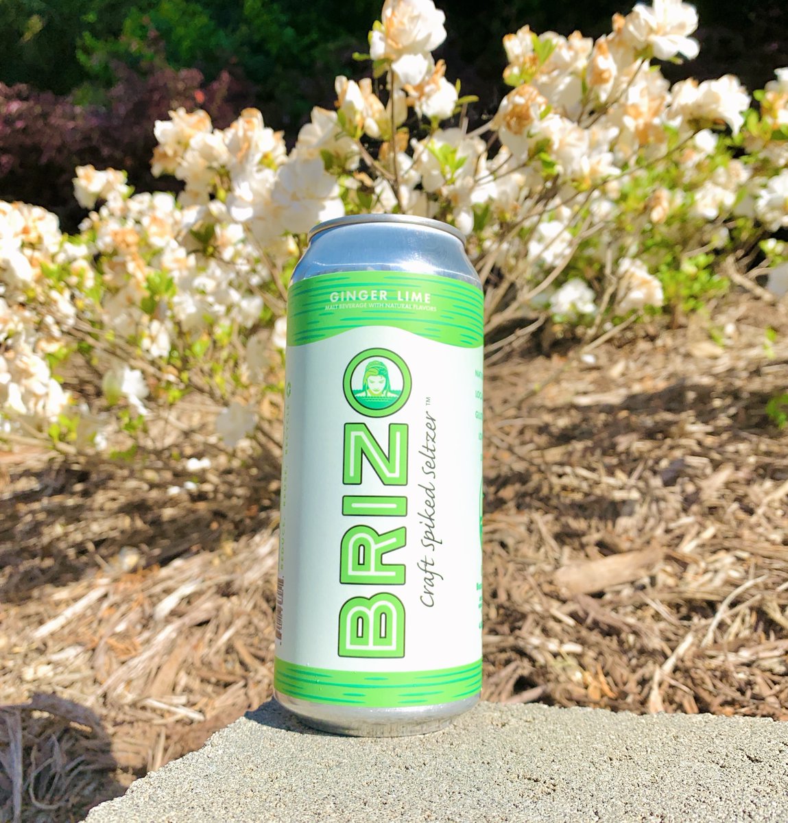 brizoseltzer's tweet photo. Maybe if we all pretend it's sunny the rain will go away. π¦
.
.
#brewedbynoda #cltzer #brizoseltzer https://t.co/OrKlThj7Ha