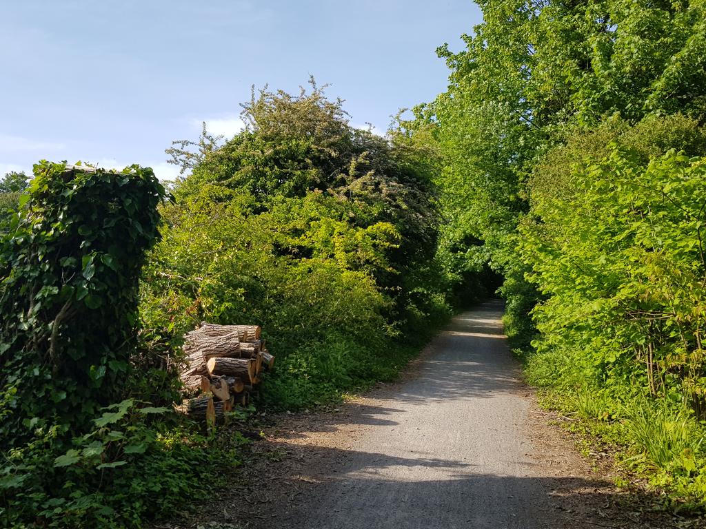 GregDoreyIT's tweet photo. Where better for a short cycle ride after work than the #CenturionWay from #Chichester? Once a local train line. 2nd World War bomb crater in the distance. https://t.co/UWLf70Egm5