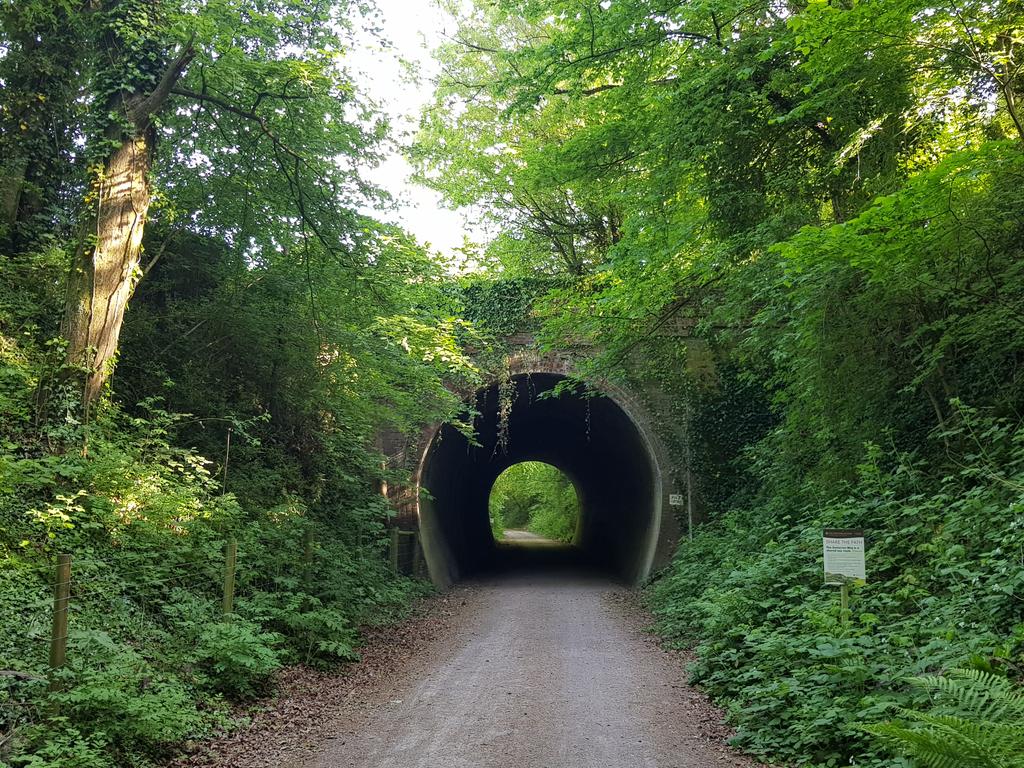 GregDoreyIT's tweet photo. Where better for a short cycle ride after work than the #CenturionWay from #Chichester? Once a local train line. 2nd World War bomb crater in the distance. https://t.co/UWLf70Egm5