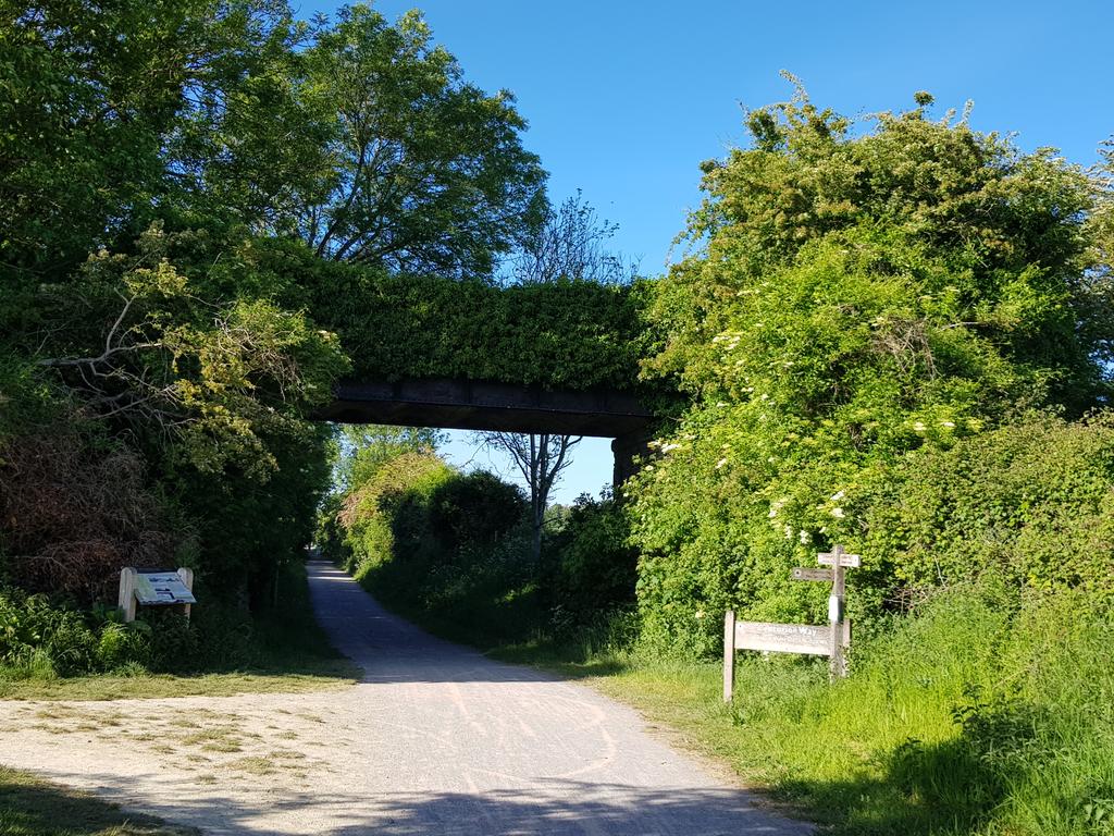 GregDoreyIT's tweet photo. Where better for a short cycle ride after work than the #CenturionWay from #Chichester? Once a local train line. 2nd World War bomb crater in the distance. https://t.co/UWLf70Egm5