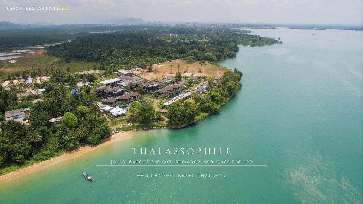 TheShellSea Krabi tweet media