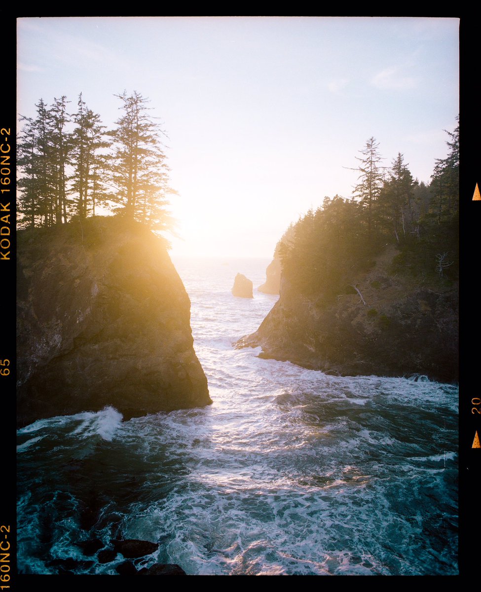 Lurkerlife's tweet photo. Some expired Portra 160nc from the coast of Oregon. https://t.co/qpKaUkoqrF
