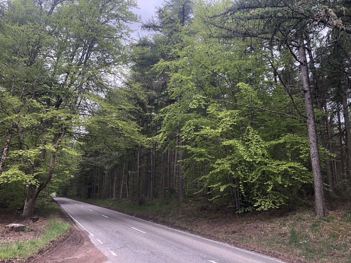 Still in #lockdown2020 still keeping our road quiet at this #quiettime looking forward to welcoming everyone back When we are ready. #Covid_19 #StayAtHomeSaveLives #highlands #scotlands <a href="/Beaulyholidays/">Beauly Holiday Park</a> <a href="/BeaulyScotland/">Beauly Scotland 🏴󠁧󠁢󠁳󠁣󠁴󠁿</a> <a href="/NorthCoast500/">North Coast 500</a> <a href="/northhighland1/">North Highland</a> <a href="/visitnessie/">InvernessLochNess</a>