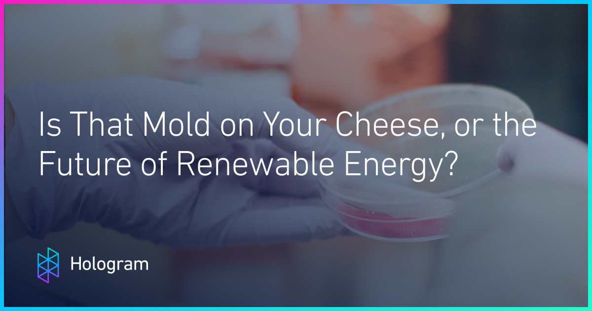 Hologram (@hologram) on Twitter photo And in case you missed it from our newsletter, check out our post on new bacteria based renewable power for IoT by our editor <a href="/triciabooker/">Tricia Booker</a>: hologr.am/2zc6ozT And in case you missed it from our newsletter, check out our post on new bacteria based renewable power for IoT by our editor <a href="/triciabooker/">Tricia Booker</a>: hologr.am/2zc6ozT
