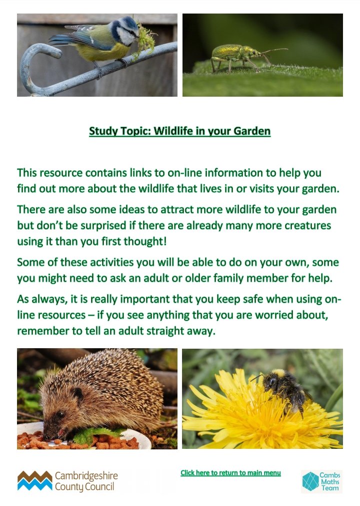 Cambs_SIS's tweet photo. NEW Study Topic added to our Home Learning Hub resources  - Wildlife in your Garden. Take time out to unwind and explore a great range of information, activities and quizzes  https://t.co/RsYU3UwzxA
#MentalHealthAwarenessWeek  #CambsEd #homelearning https://t.co/JfyplrqHlV