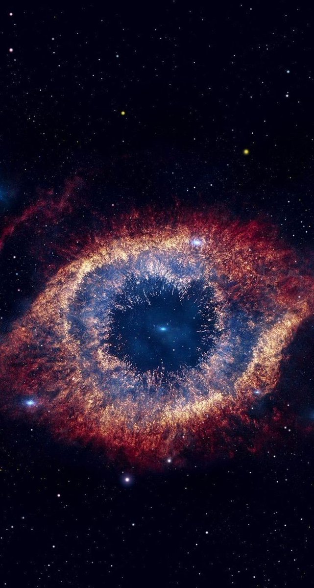 Titch Nethercot tweet media