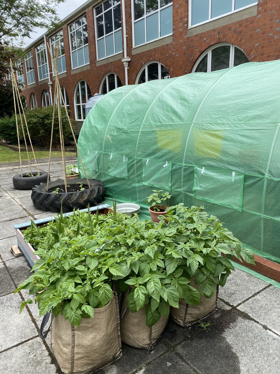 Dwr y Felin DT Dept tweet media