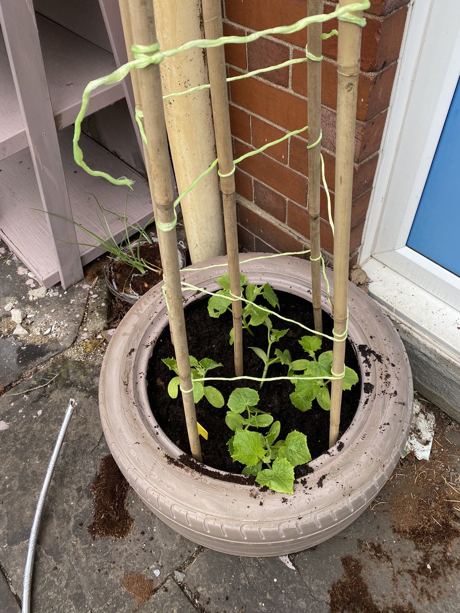 Dwr y Felin DT Dept tweet media