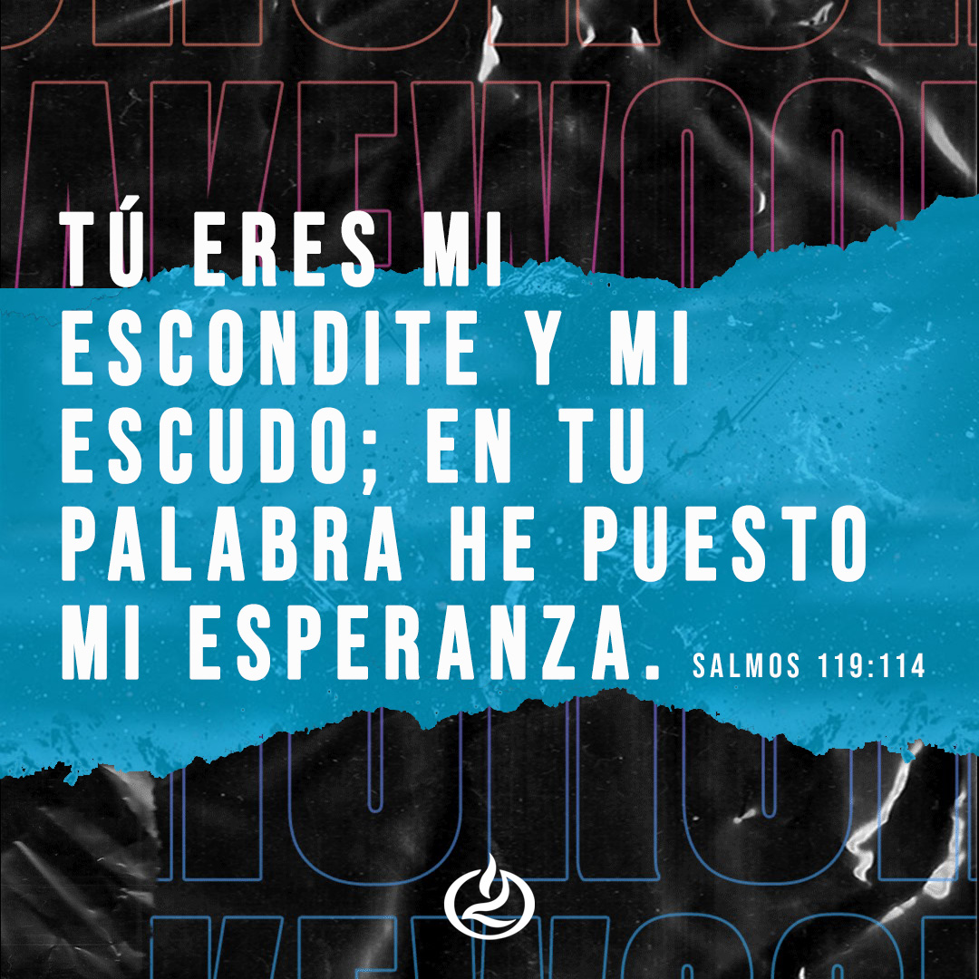 iglesialakewood's tweet photo. Recibe esta palabra en tu corazón. Él es tu escudo y refugio. Su palabra es eterna y permanece para siempre. Confía hoy plenamente en lo que ha prometido para ti y tu familia. ¡Dios es nuestra esperanza!
.
.
.
 #IglesiaLakewood #Lakewoodencasa #Houston #Diosesmiprotector https://t.co/4eCToKORYN