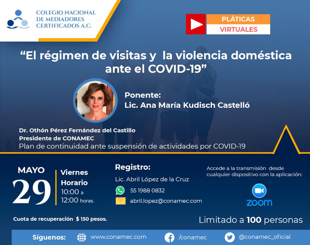 Ponencia virtual "El régimen de visitas y la violencia doméstica ante el COVID-19" próximo viernes 29 de Mayo.