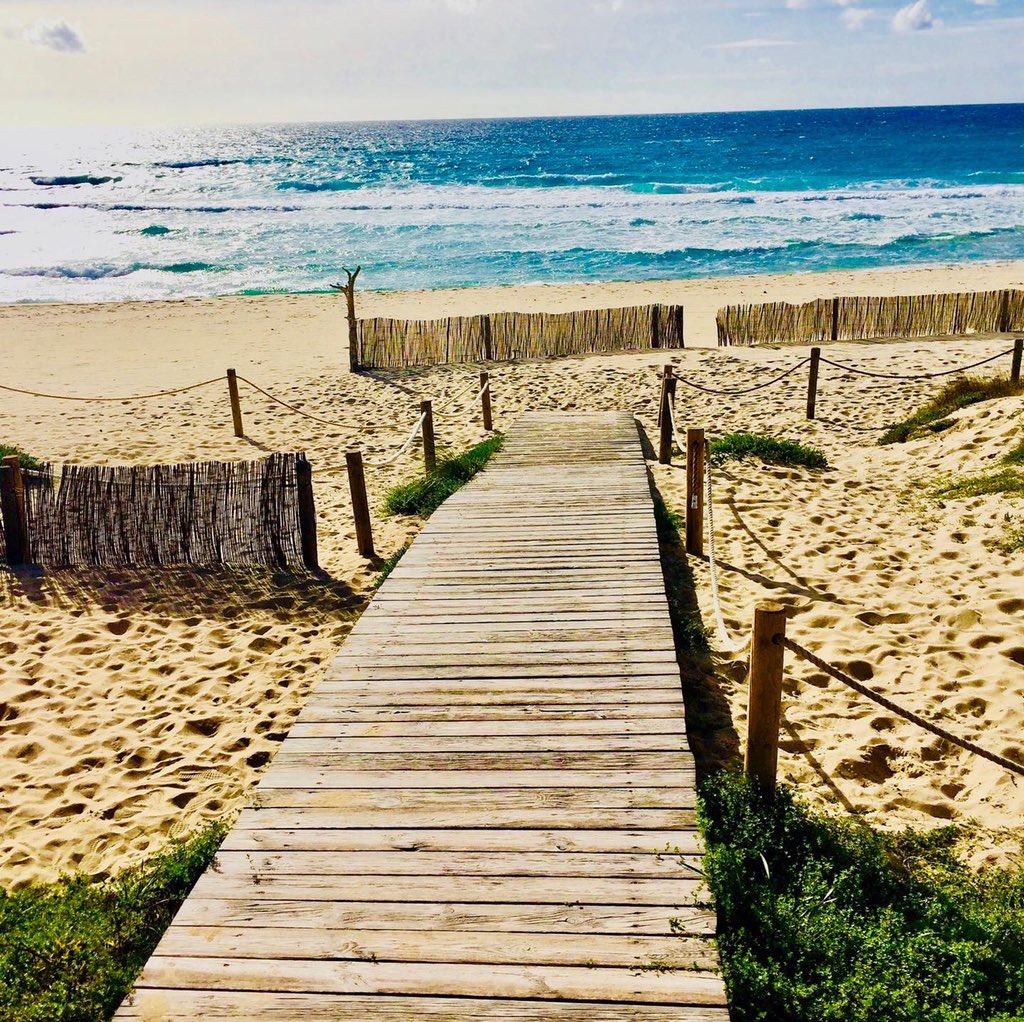 TheNomadelle's tweet photo. Formentera is the smallest of the Balearic islands. With no airports, the only way to get there is by boat or by commercial ferries which depart from Ibiza every half hour during peak season. #Nomadelle #Travel #DigitalNomad #aYearOff #Formentera #spain #worldtravel https://t.co/ClUDWfv9AZ