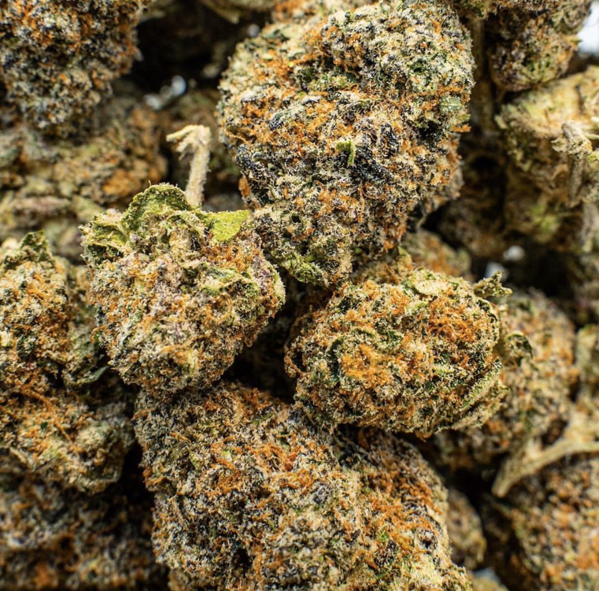 WireWhite's tweet image. Beetle juice

Snapchat👻 : white-8285
.
.
. #weed #cannabis #weedporn #marijuana #cannabiscommunity #thc #cbd #weedstagram #stoner #hightimes #ganja #smoke #cannabisculture #kush #indica #maryjane #highlife #life #sativa #dank #dabs #smokeweedeveryday #high #highsociety #pot #hem