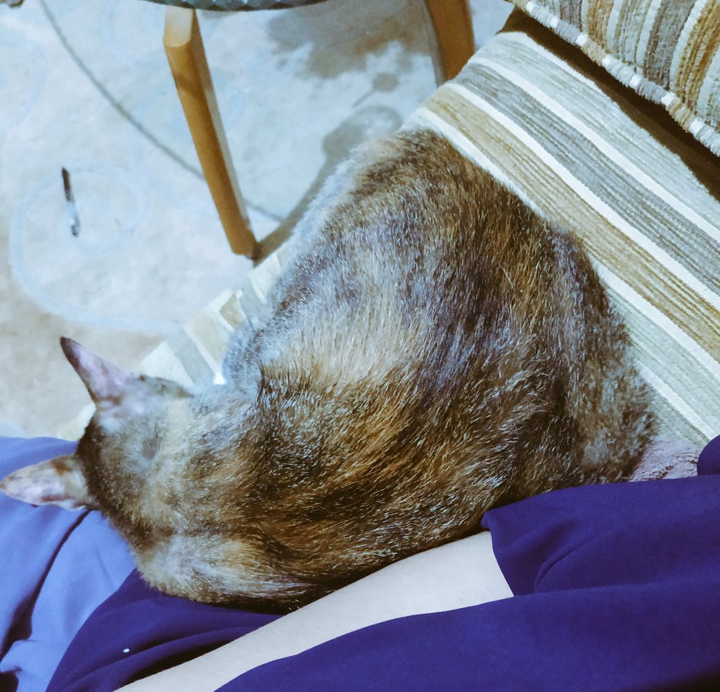 Pamit ya punten. I just wanna have a goodnight sleep with this sweetheart. Thank you for all the flooding supports, corrections and insights about the issue I floored earlier. Mudah2an jd banyak yg aware salah dan celahnya dmn, dan apa yg perlu diketahui agar tidak dikadali.