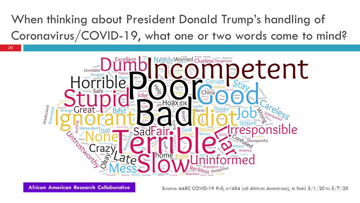 15/25 Another word cloud. This one is 1 or 2 words that describe Trump's handling of COVID-19. Black folks were definitive.