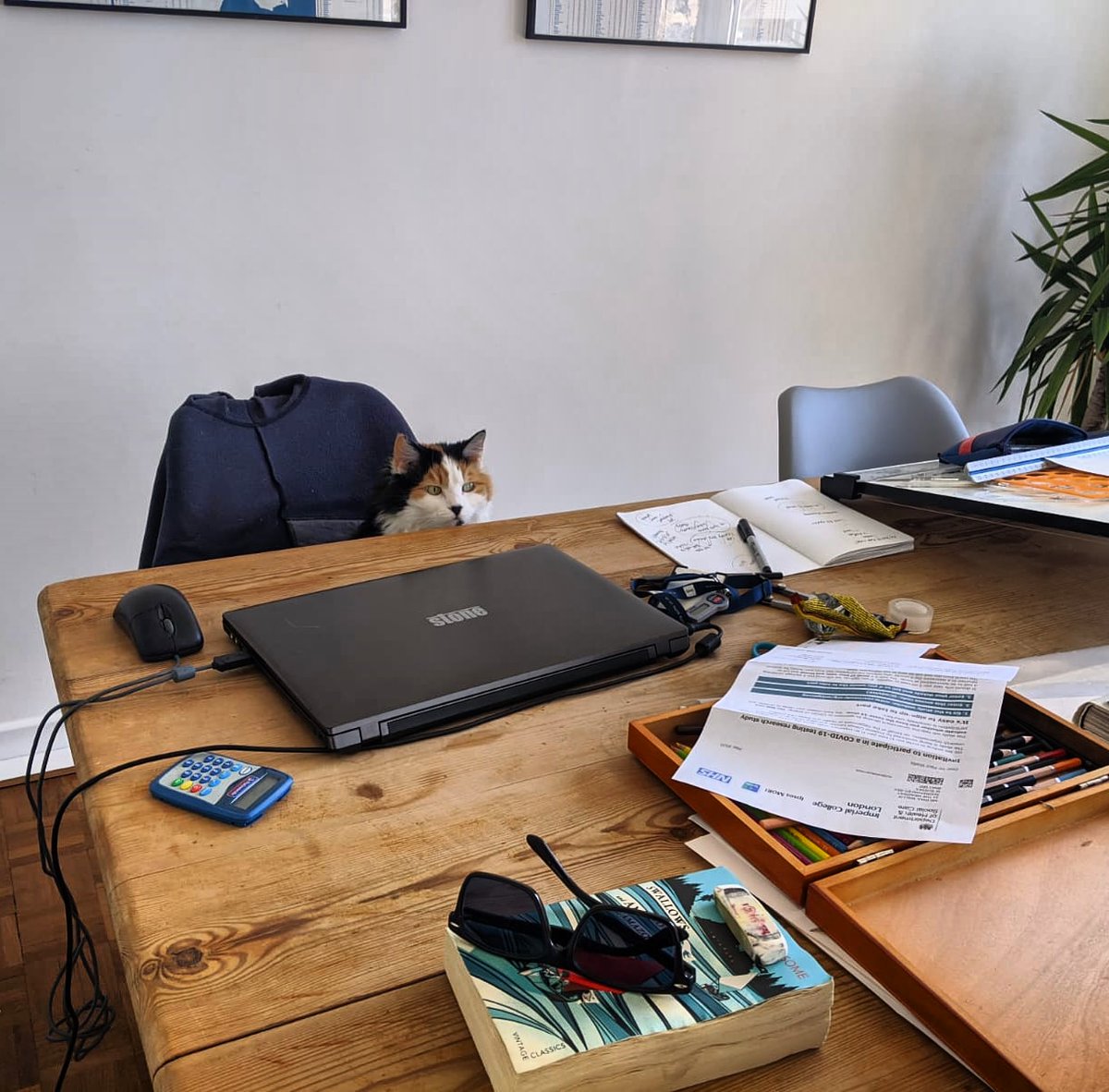 CooksCat's tweet photo. Working from home at the mo. Bit of a drag, but as my staff 'live in' I've been able to keep them on. So 'every cloud' as they say.
#CatsOfTwitter #catlife #TuesdayThoughts https://t.co/AfAcgU66Ci