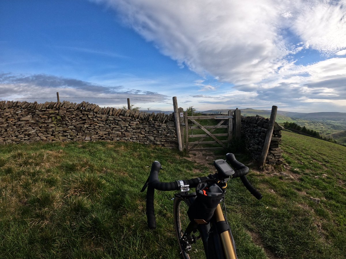 Hannah Saville tweet media