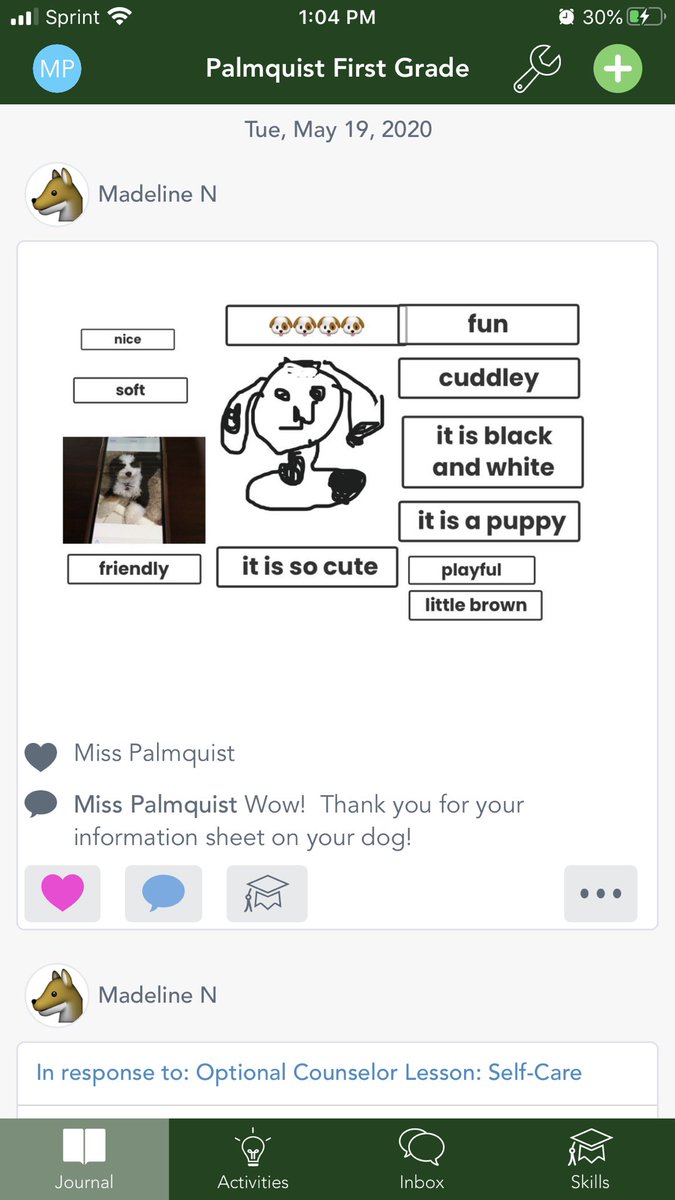 Miss_Palmquist's tweet photo. Distance Teaching joys: having students make up their own assignments and post them on seesaw. Here is an information sheet about my students dog! #ab7DLjoy #ab7med https://t.co/khZi8RChJf