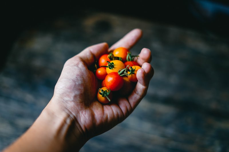 OahuFresh's tweet image. Make the most of your tomato abundance, learn about women making a difference in regenerating our food system, and sneak a peak at some cute goats, all in This Week With Oahu Fresh:  - mailchi.mp/f0e7fdb4ac0d/i…