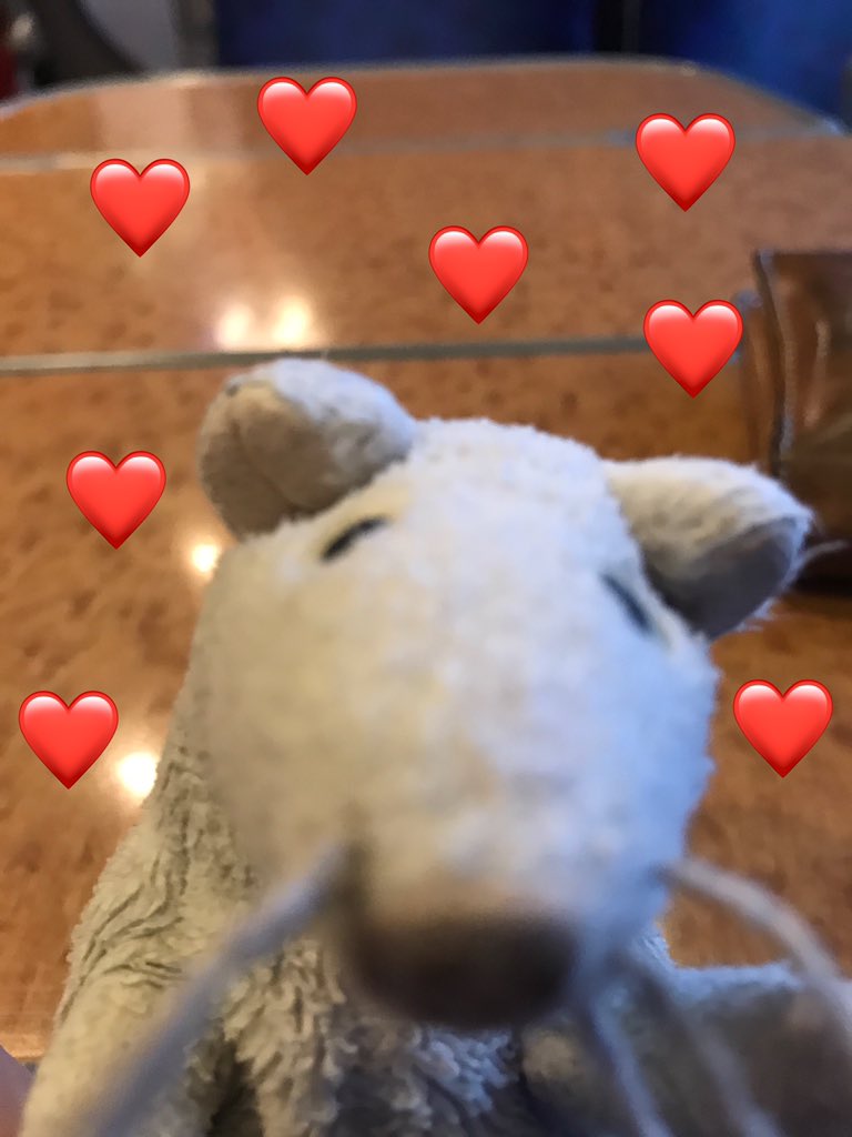 ResearchMouse's tweet photo. My #lastnormalphoto was a long time ago—usually I only do photos when I’m away with @freya_jarman so we were saying goodnight to her wife from an overnight stay in London. We were supposed to have so many adventures this year!!! https://t.co/Q8eU6iIZyW