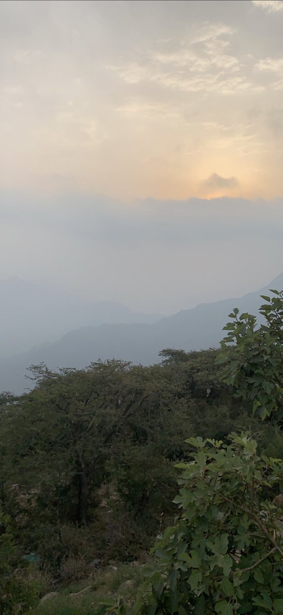 zzoo2014's tweet photo. @iiim7mdz يارب أفوز https://t.co/ecAj6byruN