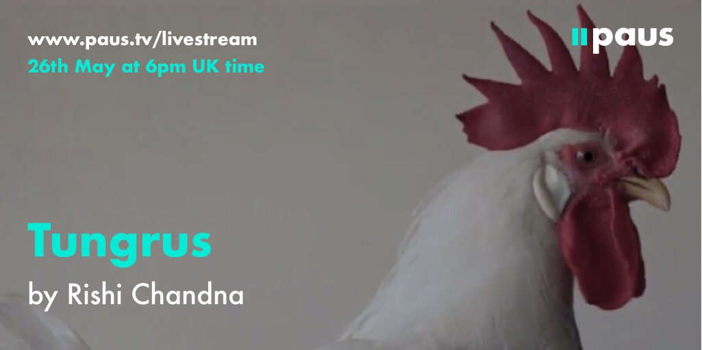 paus_tv's tweet photo. Following our second live stream we're hosting another live screening+tipping event at 6pm UK time on 26th May. Register here https://t.co/81wljJ7asn  &amp; join us to watch 3 great human stories &amp; show your appreciation for the filmmakers by leaving a tip. #bepartoffilm #shortfilm https://t.co/MtEsm95G3p