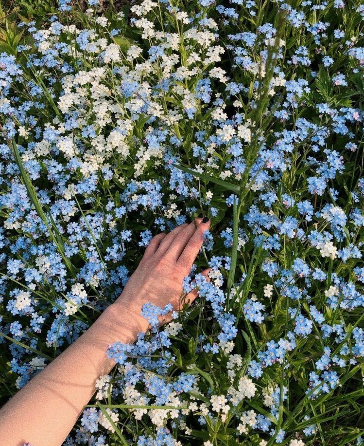  #LeeMinho as flower fields - a thread