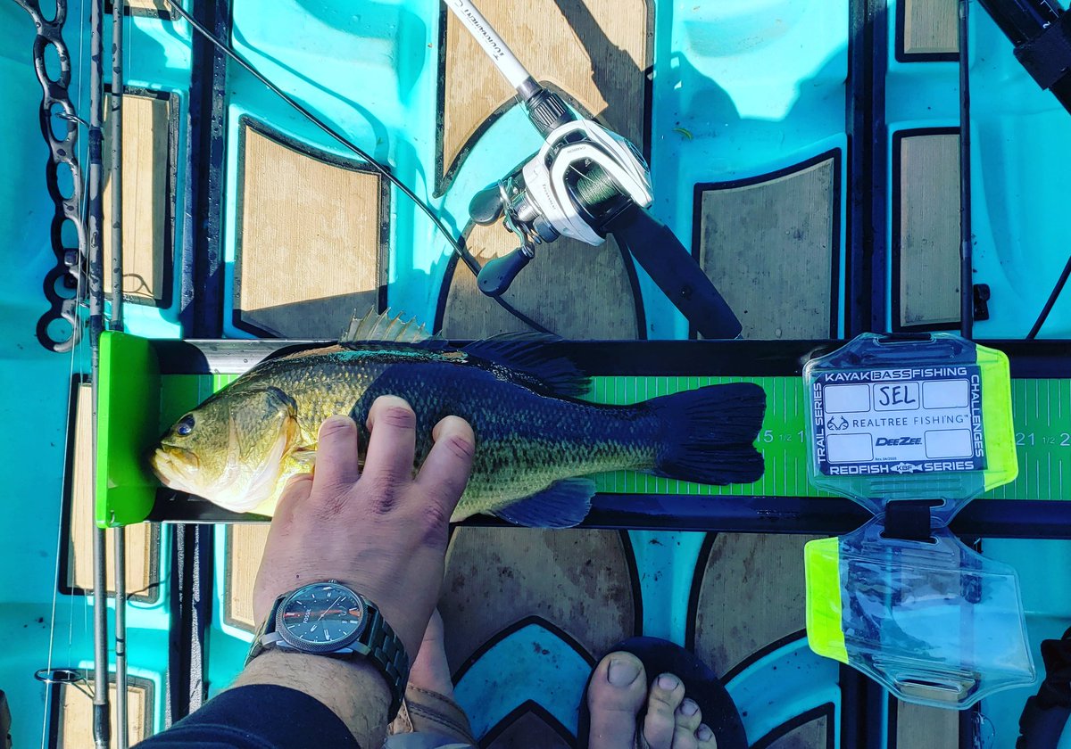 tim_java_fishing (@gofishingmn) | Twitter