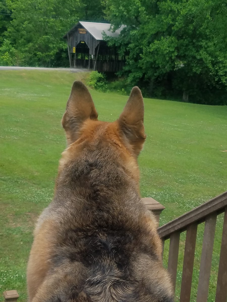 bcmisty's tweet photo. Stretching our legs during the break! #alkamiunite2020 https://t.co/Wi0Pqvz6iB