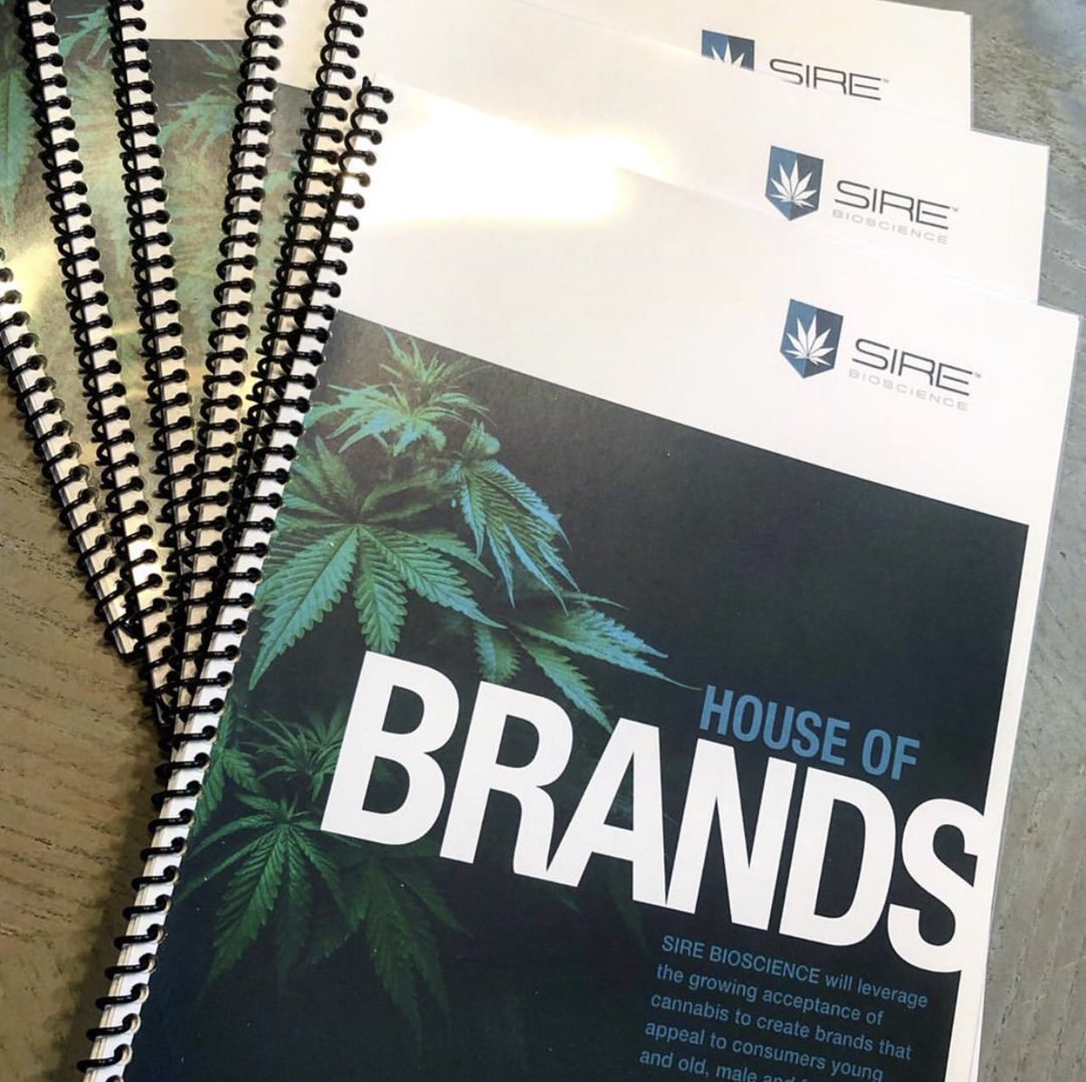 In the end, brands will win..always! With this in mind we are feverishly executing on our ‘House of Brands’ vision and the recent acquisition of <a href="/fusionmuscle/">Fusion Muscle • Performance</a> is proof of that. We’re on the job! 💪

$SIRE #CBD #hemp #cannabis