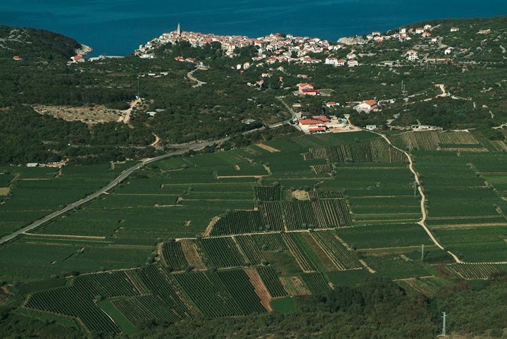 Did you know that...
Vrbnik žlahtina is a part of life in Vrbnik, an unmissable companion in celebrations and bereavement. These golden drops are soaked with the sweat of Vrbnik’s farmers, they have been providing for Vrbnik’s families for centuries and … ift.tt/2zPMniv