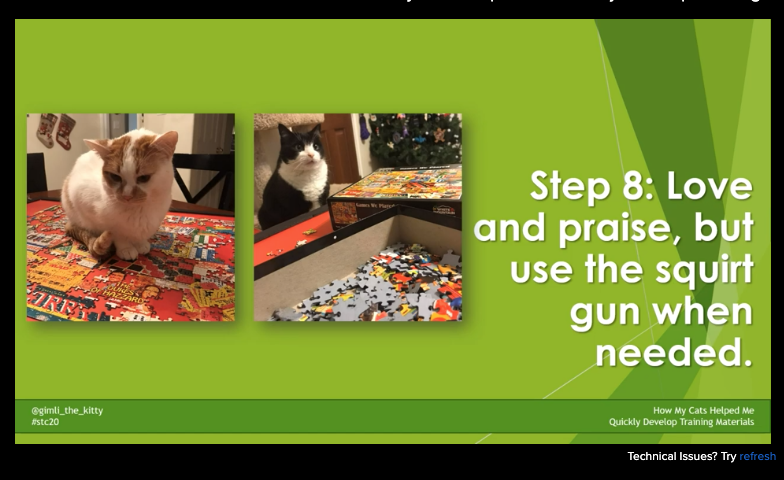 liveonpurpose's tweet image. I have another cat screenshot! Thanks to @gimli_the_kitty Jamye Sagan, who taught us about instructional design. #STC2020 #STCsummit #STC20 @STC_Summit