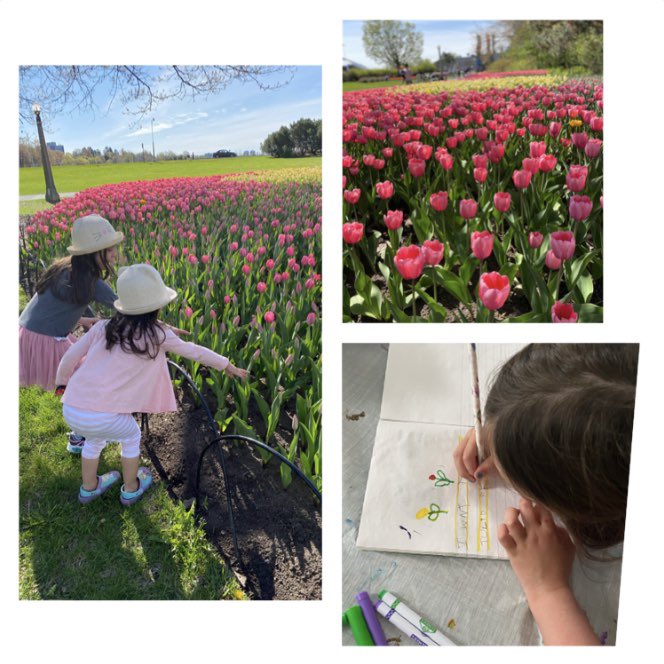 Mrs_DimasR's tweet photo. Avery’s writing in her journal about the long weekend and visiting the Tulip Festival was her absolute favourite. She loved running though the park and seeing all the beautiful colours!🌷#ocsbAtHome @StJamesOCSB @StJamesk3s https://t.co/GvcP9pXoqI