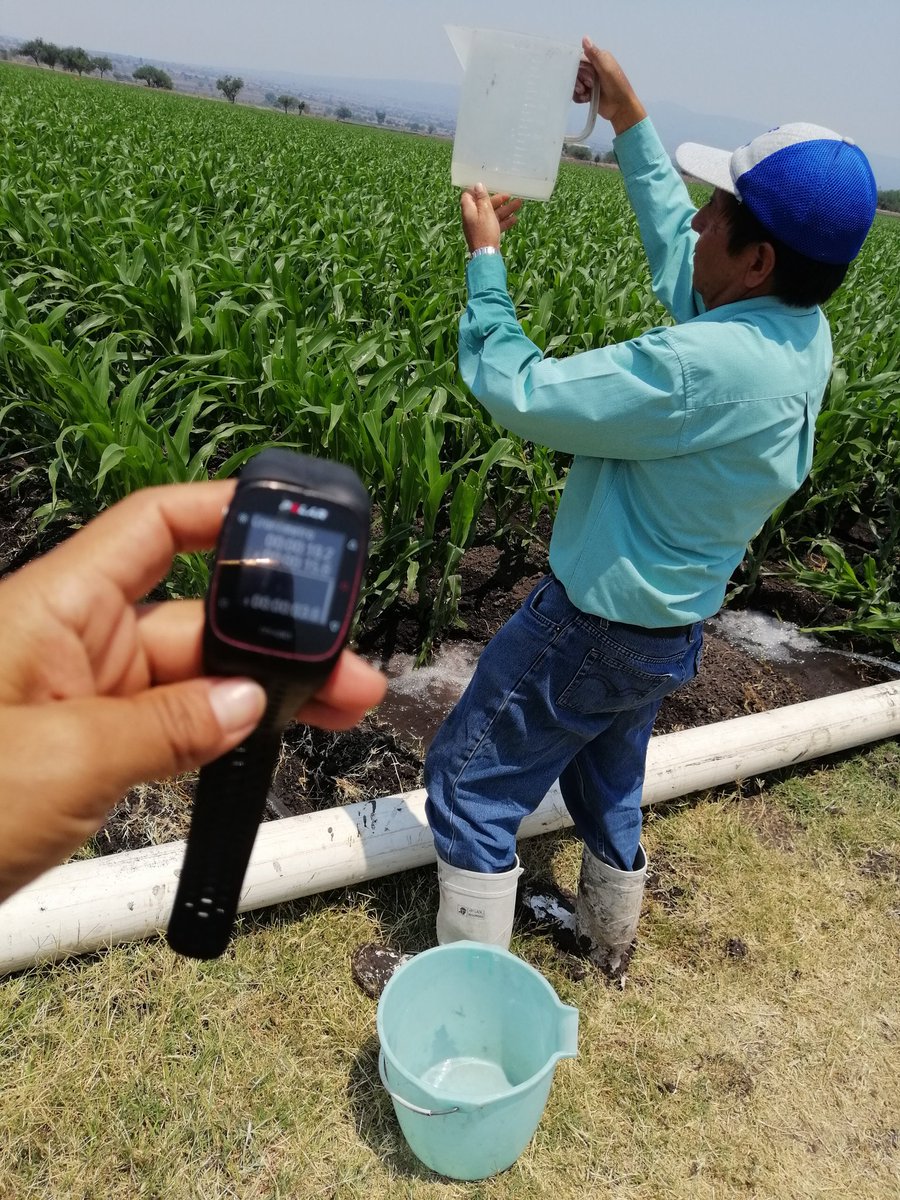 DesdeGto's tweet photo. Acciones #MUAC de @SDAyR_GTO
#TrabajandoAndamos haciendo la evaluación de eficiencia de un riego de auxilio a 🌽, por gravedad.

Es un riego de dx, con los datos, el agente @BernardoIng le dará recomendaciones de mejora al #productor de cómo hacer un #UsoMásEficienteDelAgua💦 https://t.co/iJ98lF9QuF