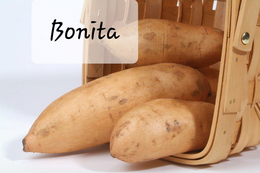 Bucabella_SP's tweet photo. Sweet potatoe varieties https://t.co/N2X8Rtpz4M