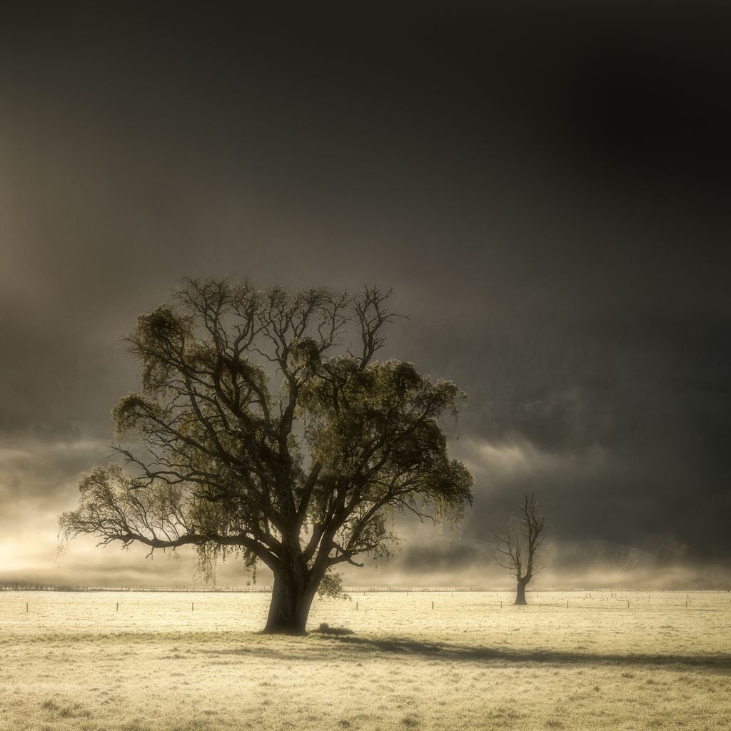 PauloOlivierH's tweet photo. ¿QUIERES CONOCER LA HISTORIA DETRÁS DE ESTA FOTO?
Hoy en Paisaje íntimo conoceremos el trabajo de la fotógrafa chilena @AndelPaulmann quien nos contará la historia detrás de ésta y otras imágenes.
Disponible a las 20:00 horas (Chile) en https://t.co/JeNY6AEhbh. https://t.co/uM8VO1nyHa