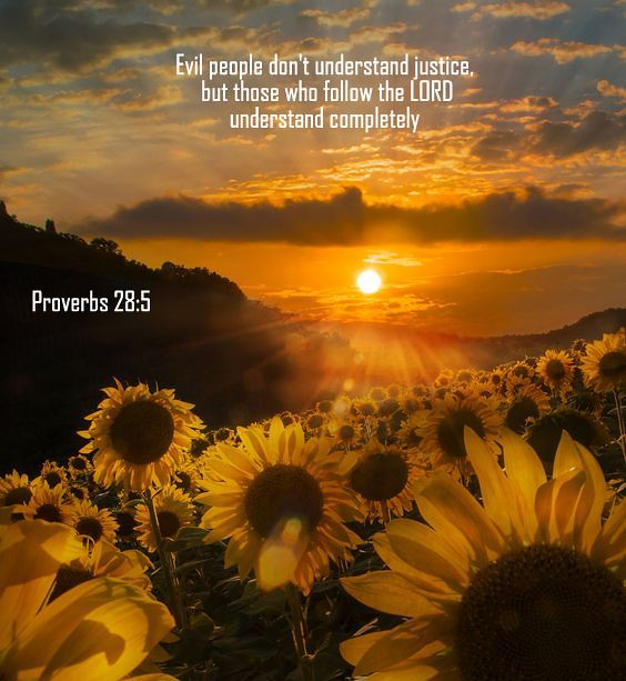 scottcschuler's tweet photo. RT @BeachcatTt: Always seek God...

Evildoers do not understand what is right, but those who seek the LORD understand it fully. https://t.co/7BodAz7TcI #Godfollower #Jesusfollower