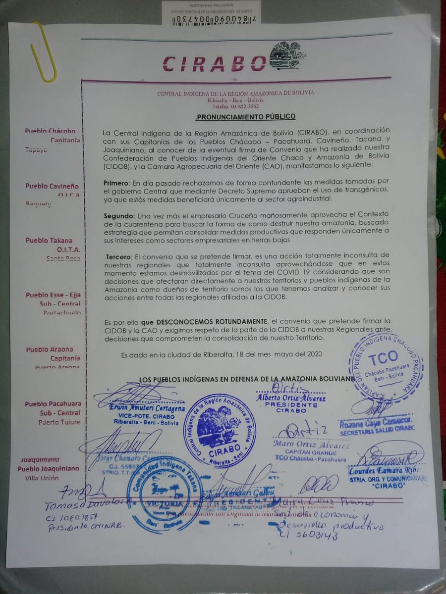 Codapma1's tweet image. Las regionales de la amazonía (#Cirabo, #Cpemb, #Chimanes) y #Guaraníes rechazan el convenio de la #CAO con la #Cidob. Consideran que es una alta traición y exigen eliminar el acuerdo por no haberse discutido sin consulta y entre 3 personas del directorio

#NoTransgénicosEnBoliva